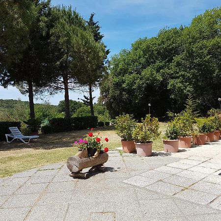 Locanda Il Boschetto Volterra Dış mekan fotoğraf