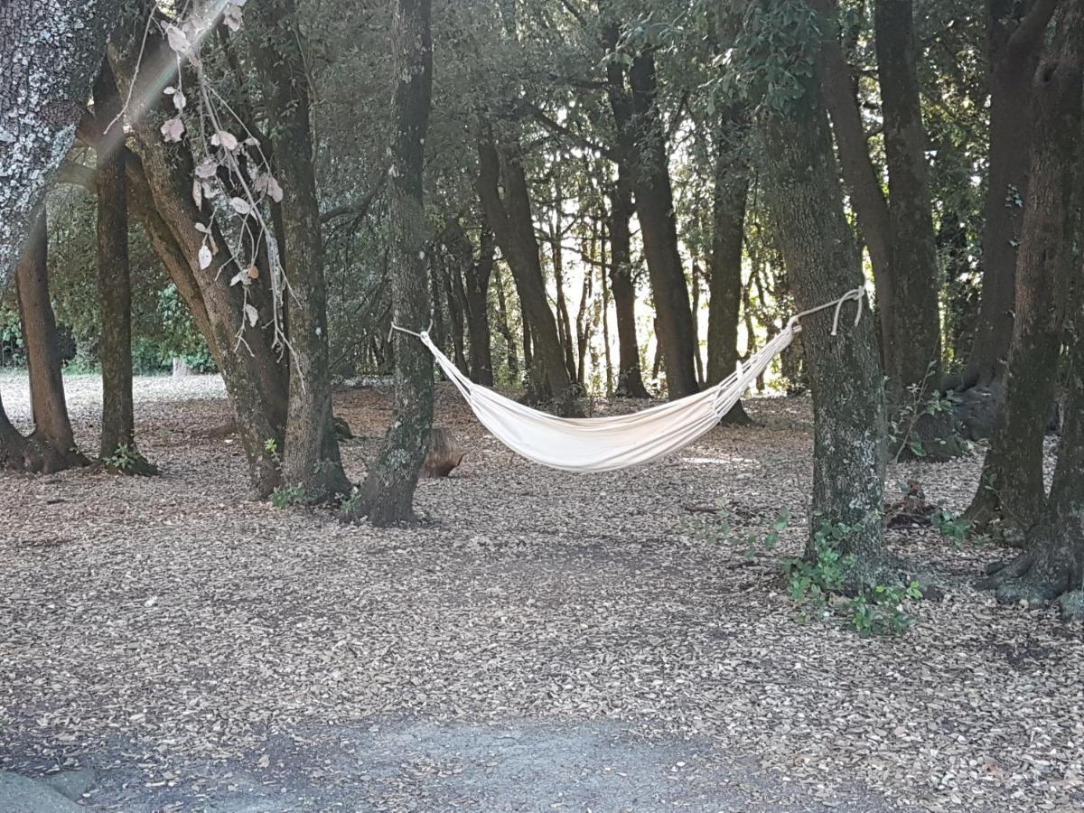 Locanda Il Boschetto Volterra Dış mekan fotoğraf